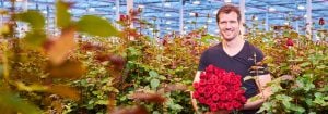 Make roses stand out with LED grow lights