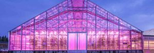Greenhouse LED lighting