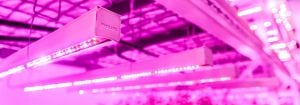 Vertical farming LED lights
