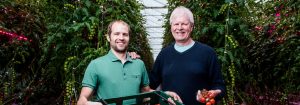 Harvesting throughout winter with LED lighting